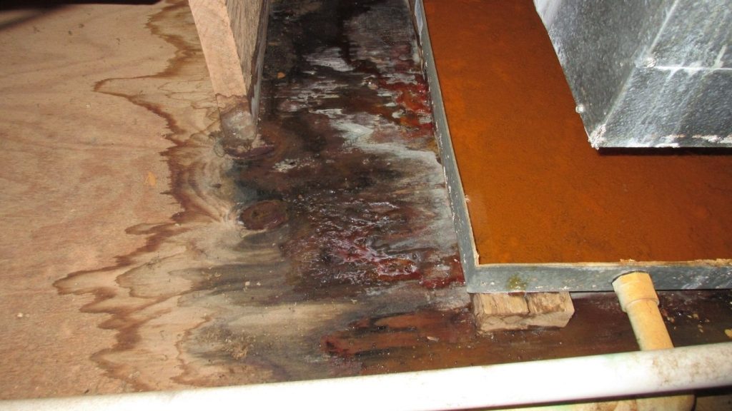 when should water damage restoration services begin