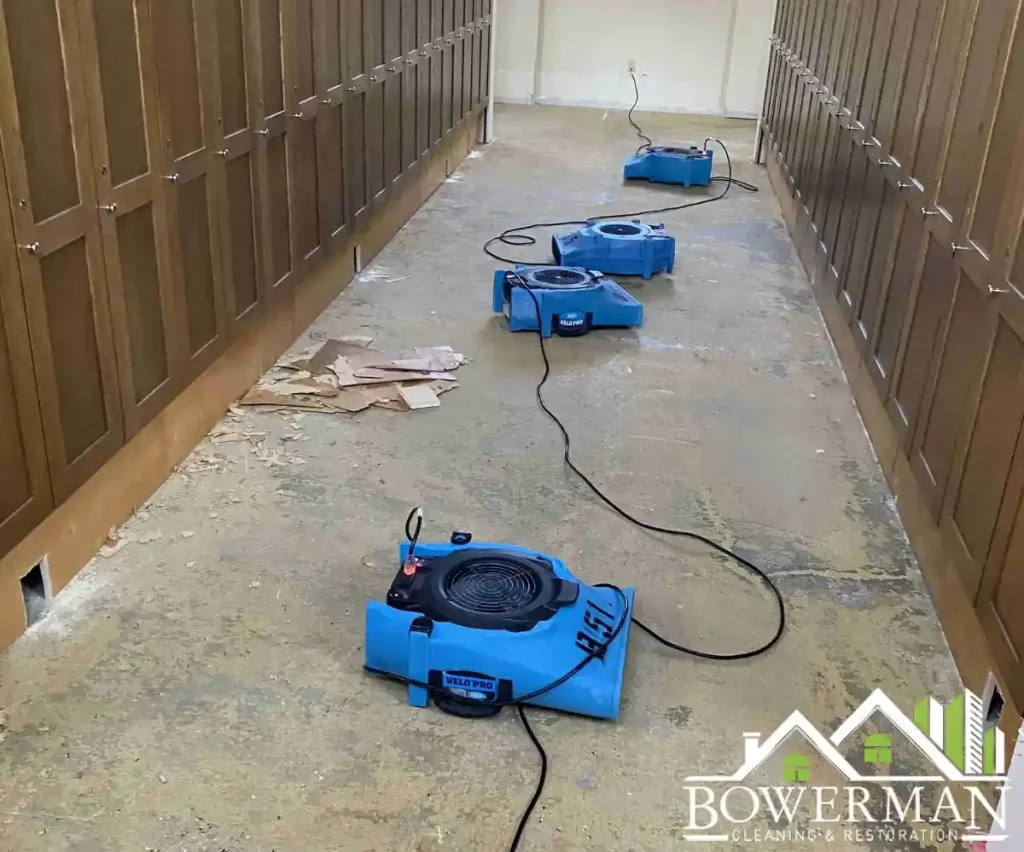 Water damage restoration in a wood-paneled hallway with multiple blue air movers running on exposed subfloor after water-damaged flooring was removed