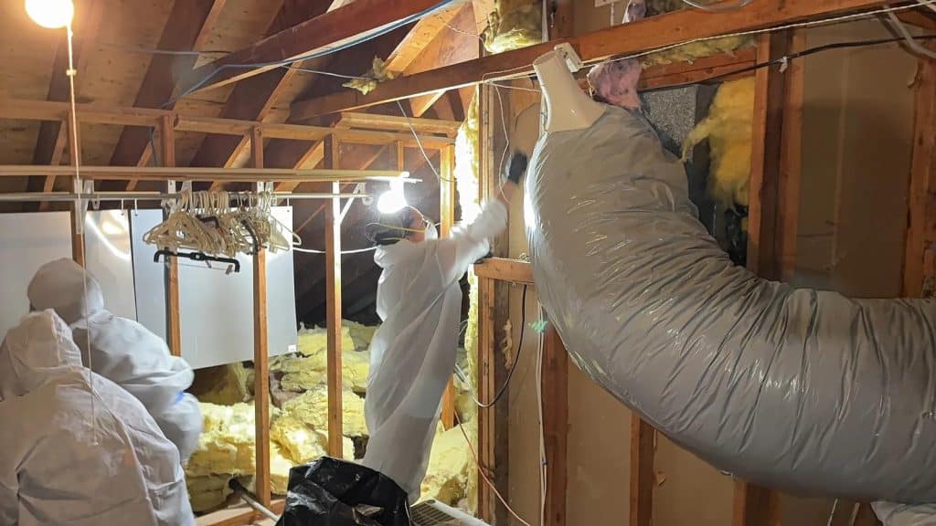 Mold remediation worker inspecting metal ductwork in attic space in Scarsdale, NY