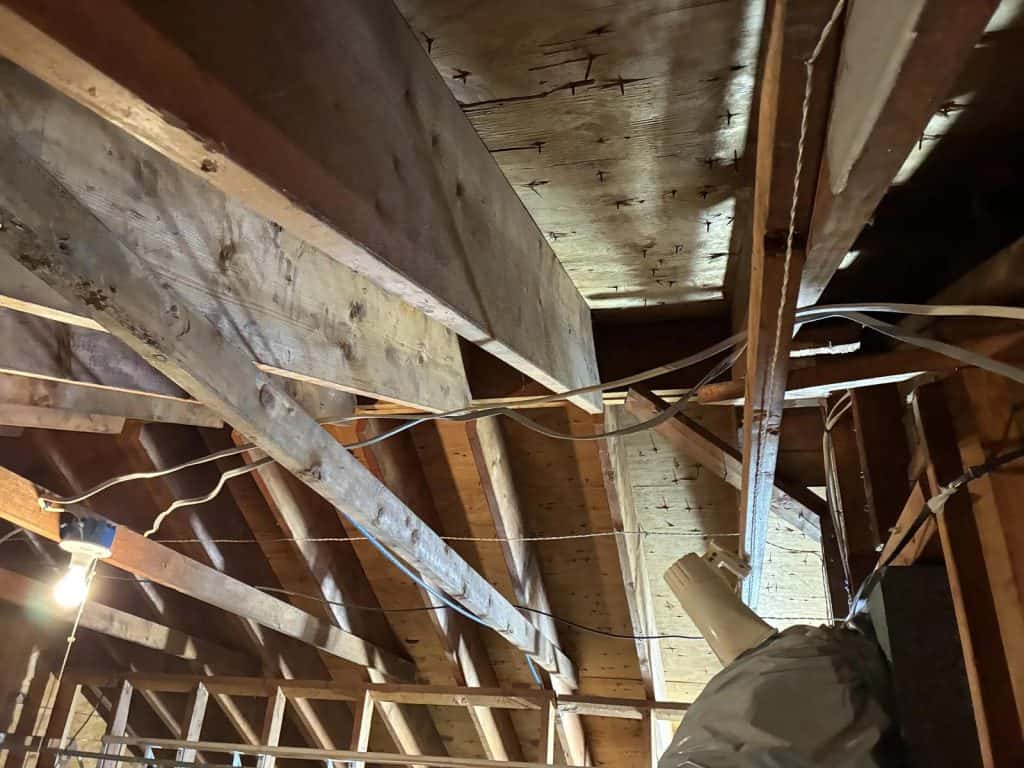 Wide angle view of attic roof trusses showing mold discoloration in Scarsdale, NY home