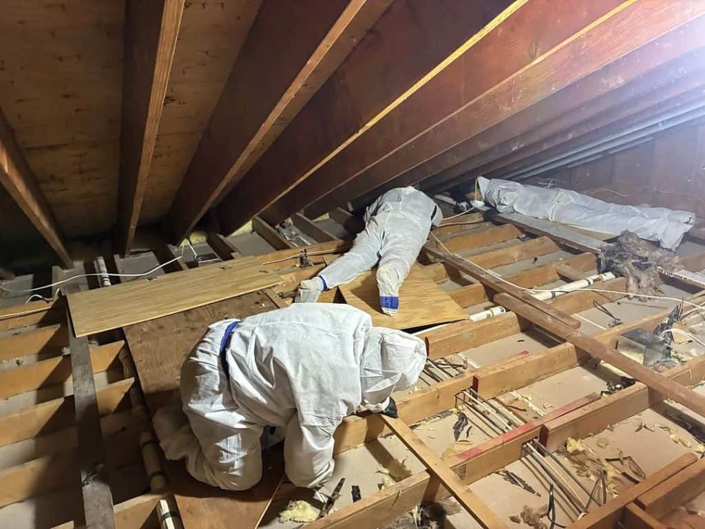 Technician in protective suit completing final insulation installation after mold remediation in Scarsdale, NY