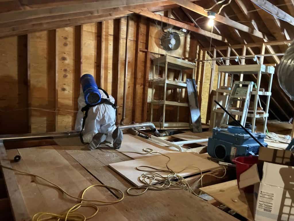 Technician in protective gear working in attic space during mold remediation project in Scarsdale, NY