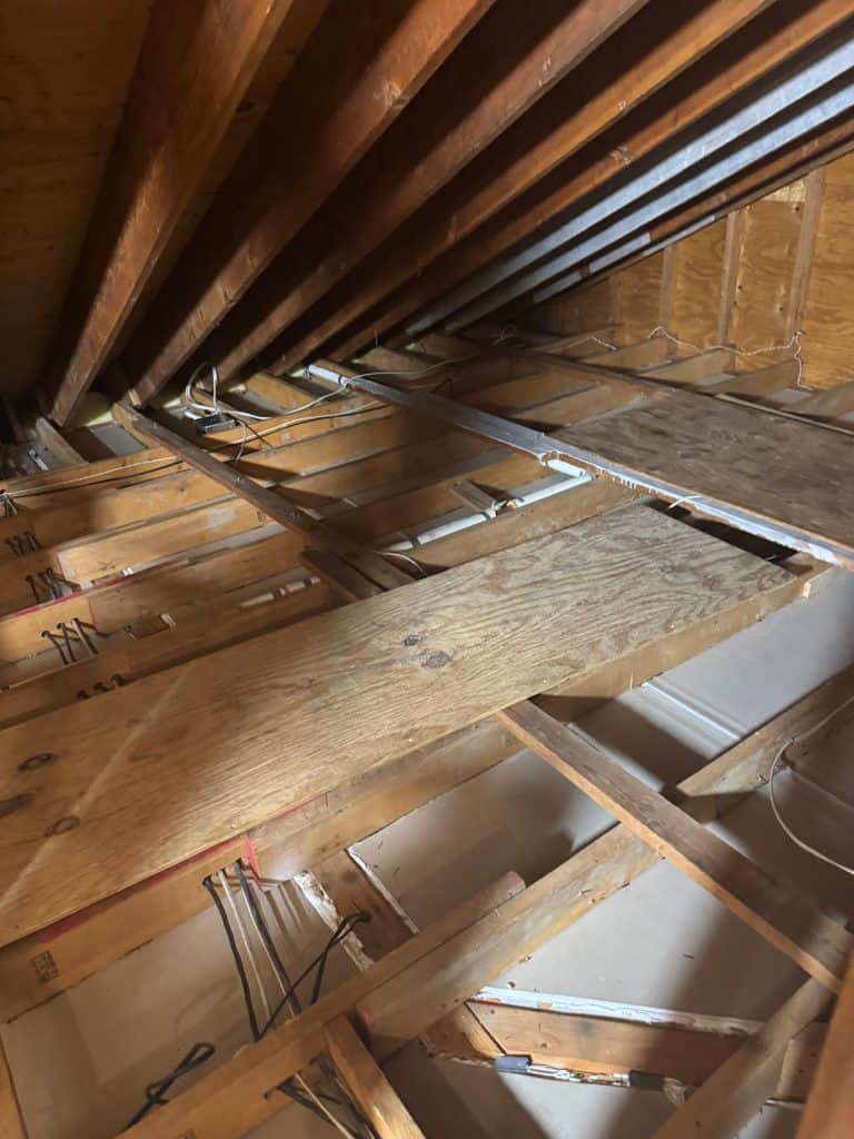 Close-up of mold-stained wood roof rafters found during attic inspection in Scarsdale, NY