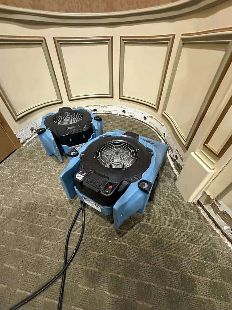 Air movers drying the curved entry wall of a dental office in Armonk, NY