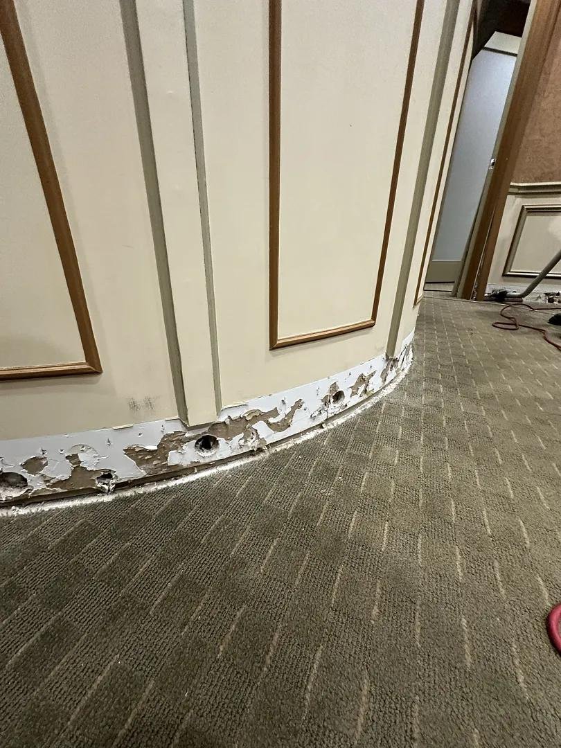 Small holes drilled along the base of a drywall wall to dry the cavity in place at an Armonk dental office