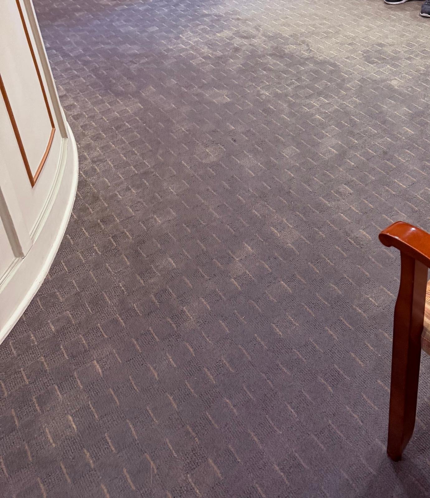 Water-soaked carpet in the waiting room of a dental office in Armonk, NY